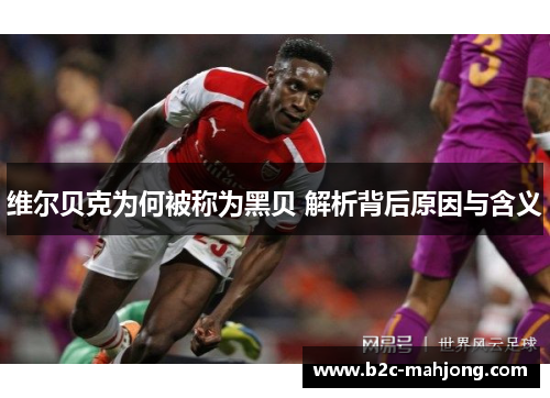 维尔贝克为何被称为黑贝 解析背后原因与含义